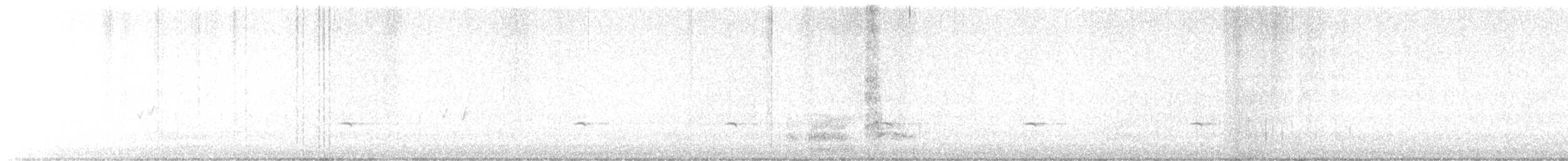 lesňák západní - ML645341388