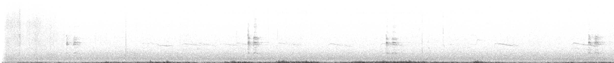 Faisai arrunta - ML645341687