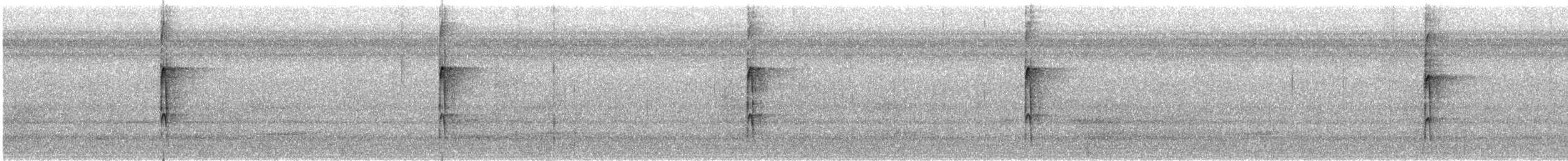 Downy Woodpecker - ML645343191