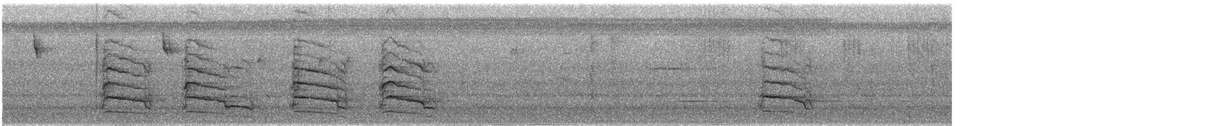 Red-shouldered Hawk - ML645343241