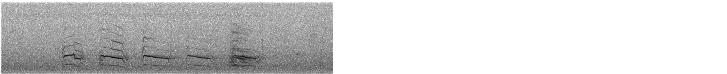 Red-shouldered Hawk - ML645343246