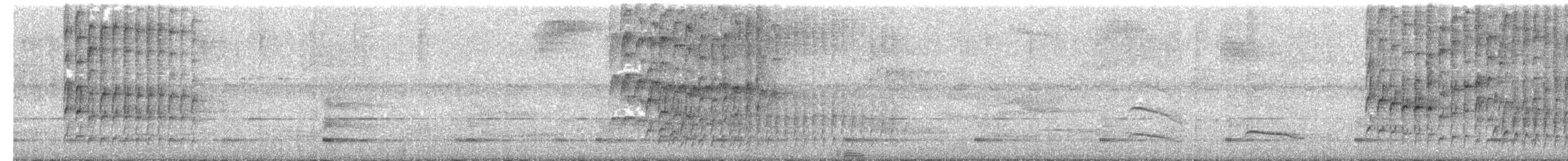 White-shouldered Fire-eye - ML645343338