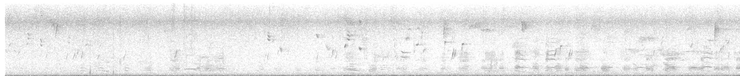 Ánsar Común - ML645344910