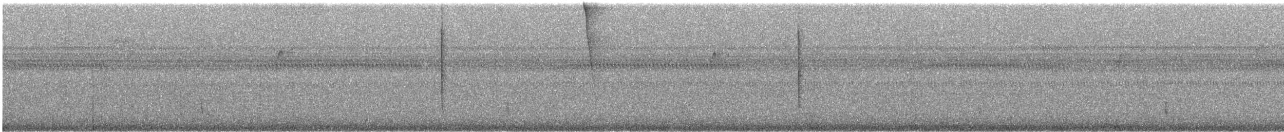 Black-throated Blue Warbler - ML645345652