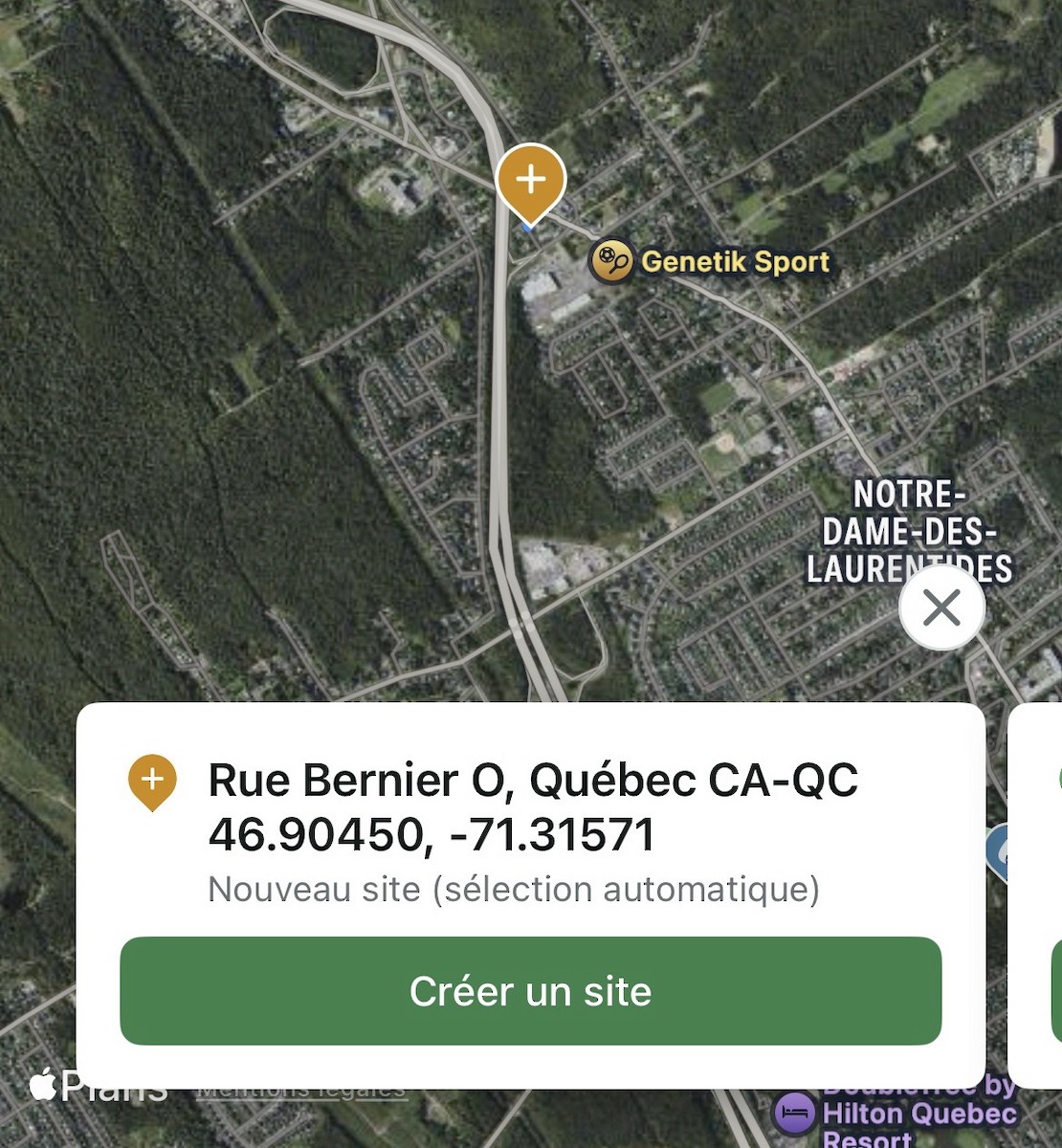 Northern Hawk Owl - ML645346929