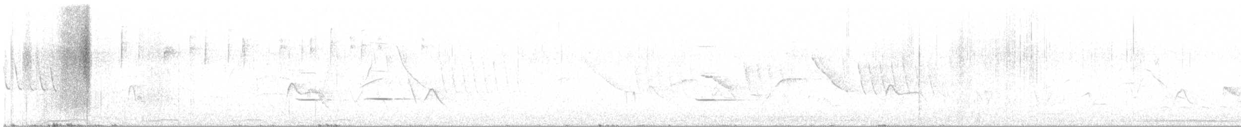 Striped Cuckoo - ML645348384