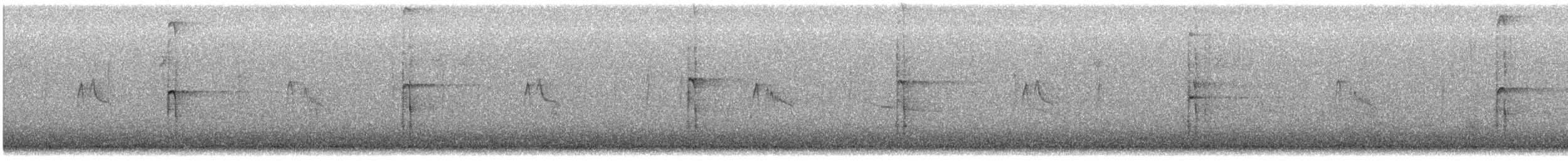 Hairy Woodpecker - ML645348852