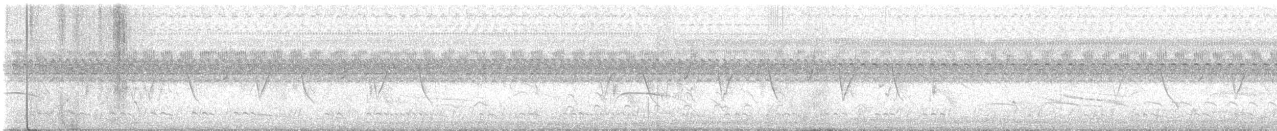 Ash-throated Crake - ML645348908