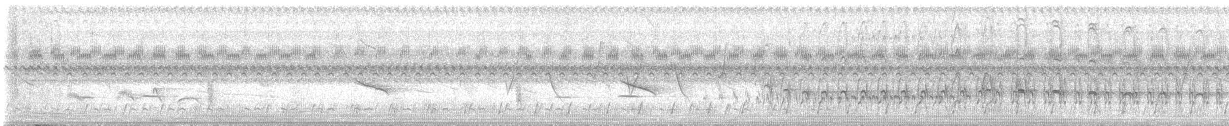 Ash-throated Crake - ML645348909
