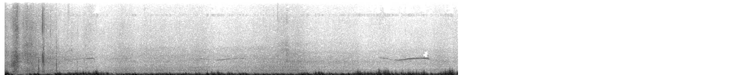 Black-bellied Plover - ML645349103