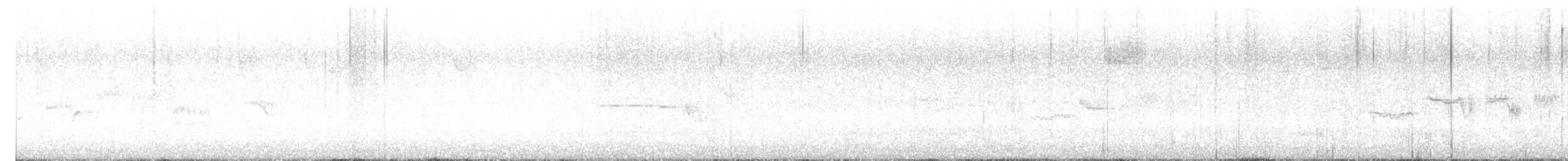 White-crowned Sparrow - ML645349263