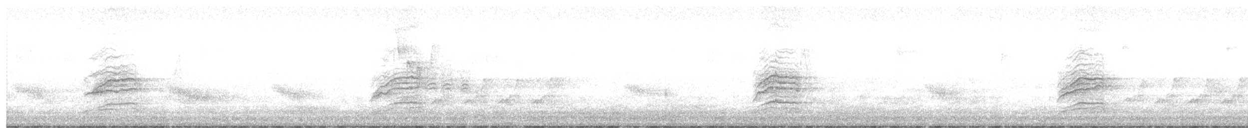 Hermit Thrush - ML645349517