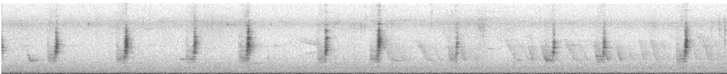 Scrub Blackbird - ML645350214