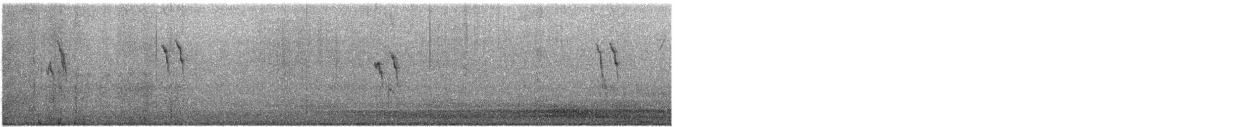 American Pipit - ML645350587