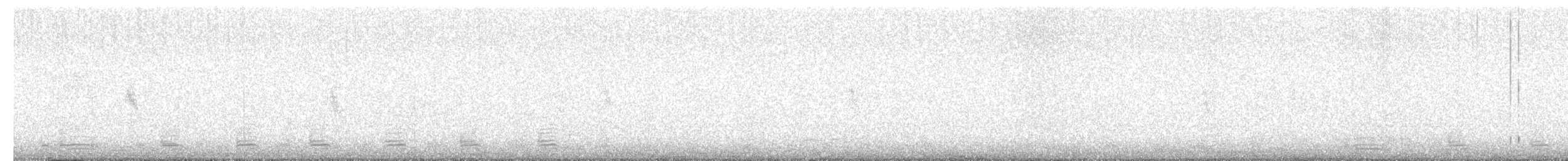 Egyptian Goose - ML645350589