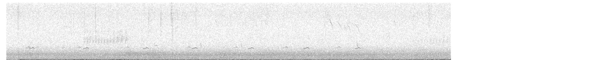 Green-winged Teal (Eurasian) - ML645350708