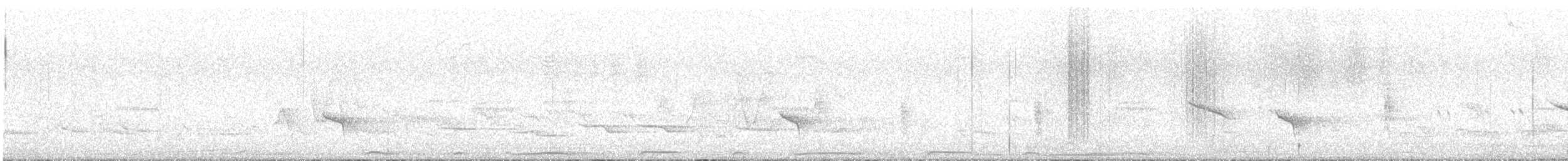 Picazuro Pigeon - ML645351061