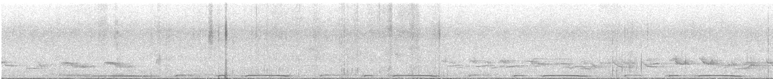 Picazuro Pigeon - ML645351062