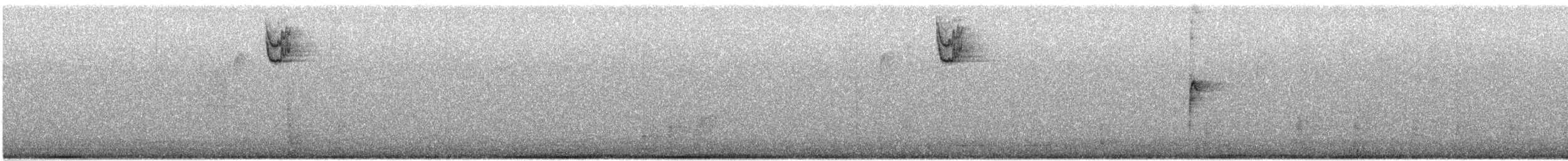 White-throated Sparrow - ML645351450