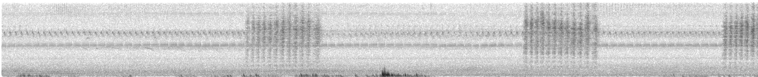 Northern House Wren - ML645351515