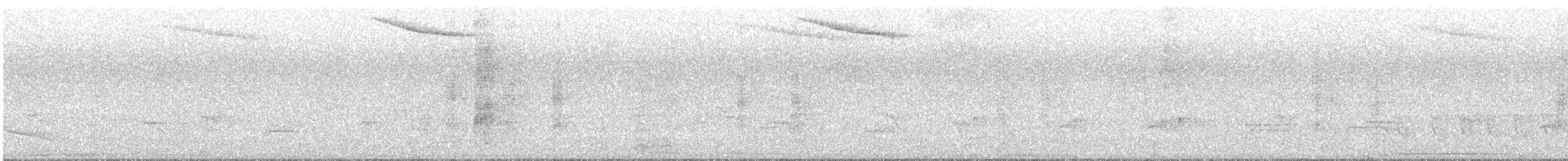 White-winged Becard - ML645351606