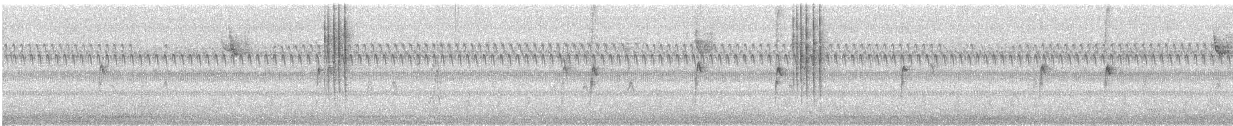 Winter Wren - ML645351732