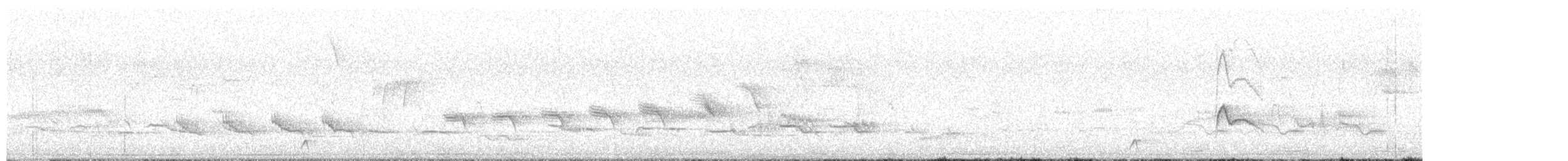 Small-billed Elaenia - ML645351977