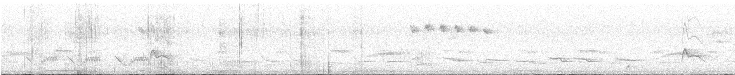 Small-billed Elaenia - ML645351978