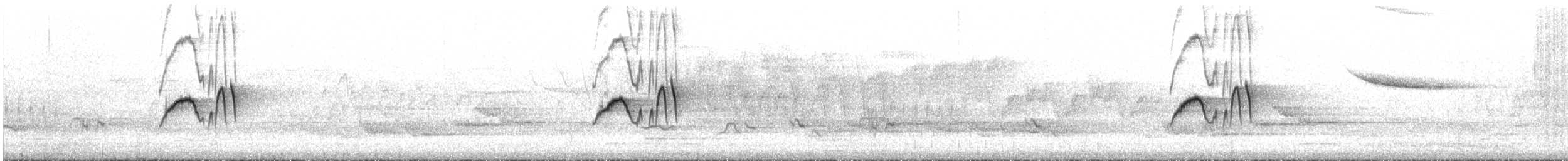 Eastern Phoebe - ML645352204