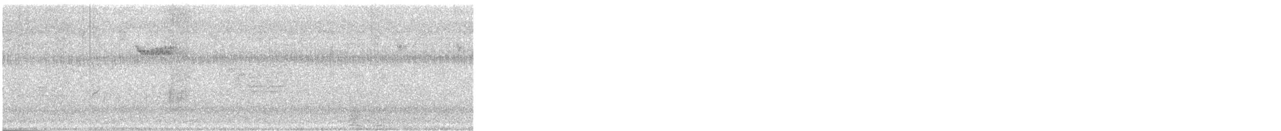 Підкоришник американський - ML645352270