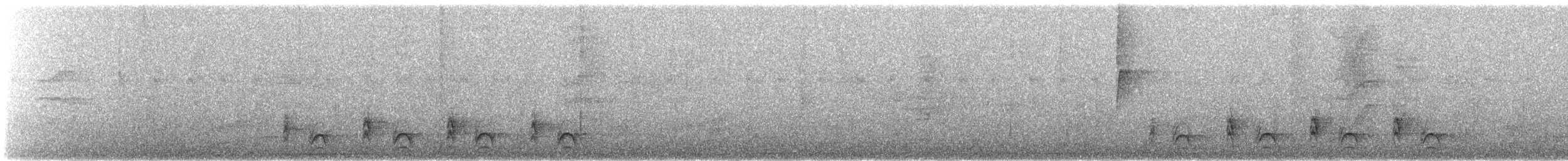 Jet Antbird - ML645352431