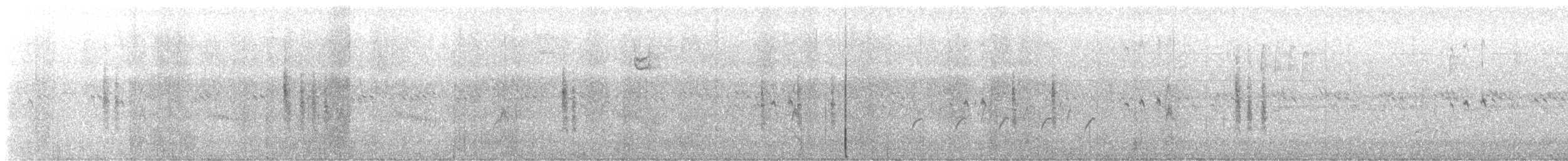 Chochín Criollo Norteño - ML645352708