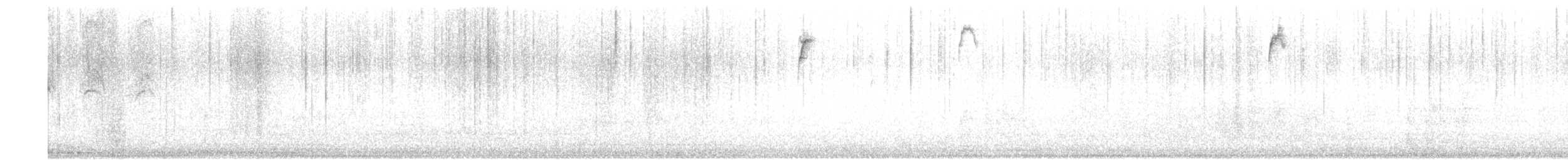 ミヤマユキヒメドリ - ML645352895