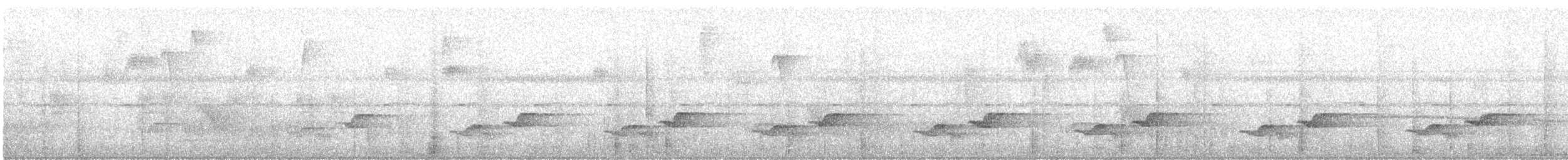 White-breasted Wood-Wren - ML645352939