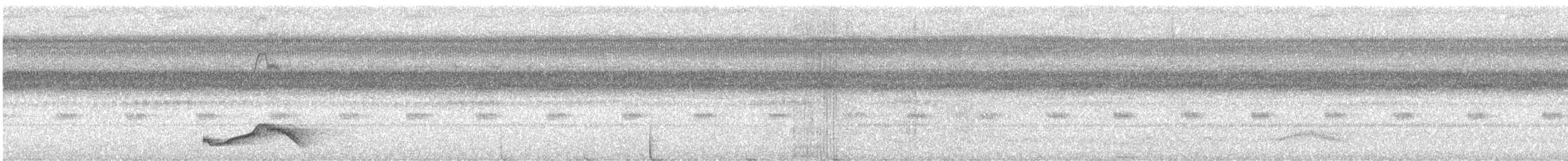 Pauraquenachtschwalbe - ML645353197