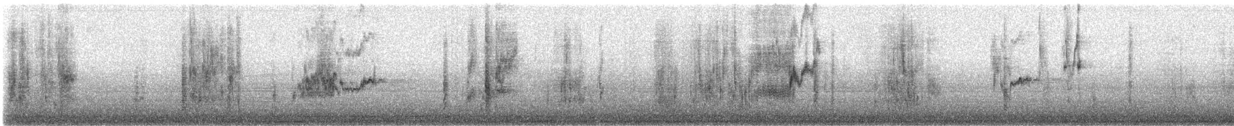 Brewer's Blackbird - ML645353960