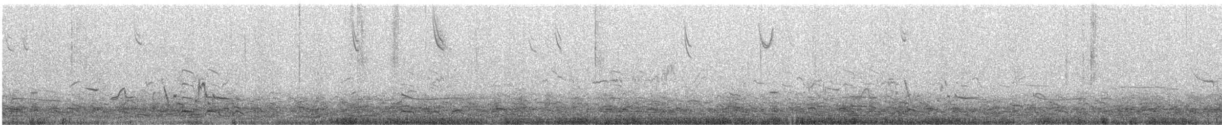 Greater White-fronted Goose - ML645354052