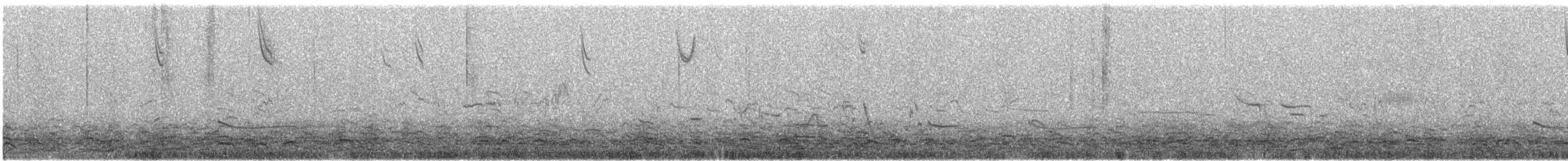 Black-bellied Plover - ML645354086