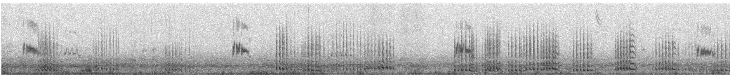 Sandhill Crane - ML645354179