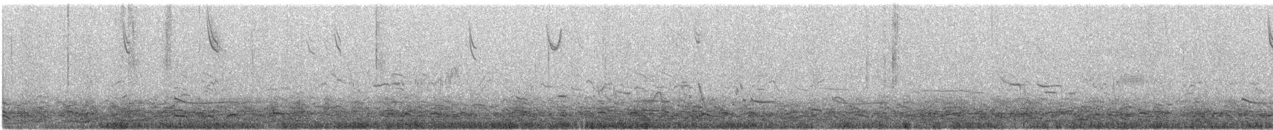 Savannah Sparrow - ML645354217