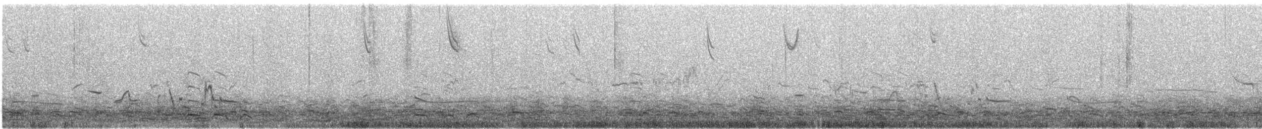 Western Meadowlark - ML645354265