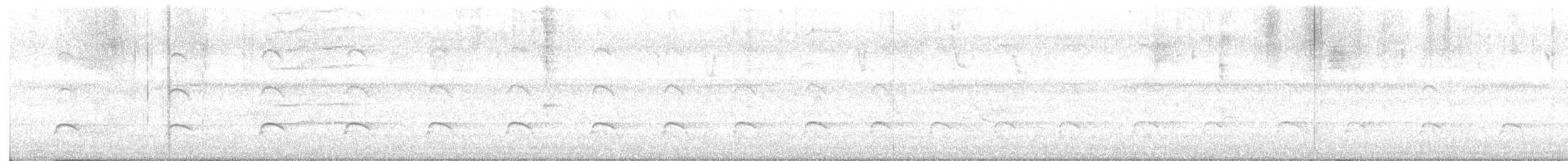 orel zdobený - ML645354452