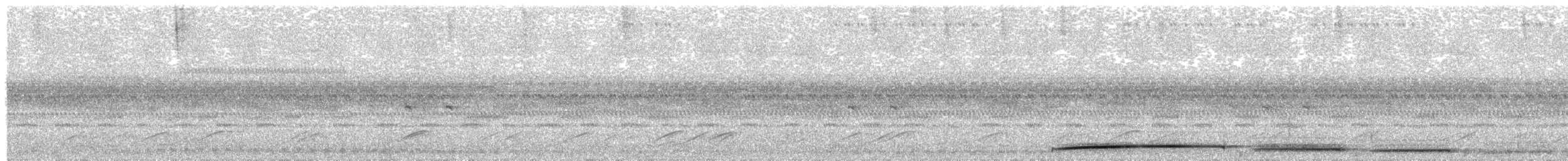 Common Potoo - ML645354849