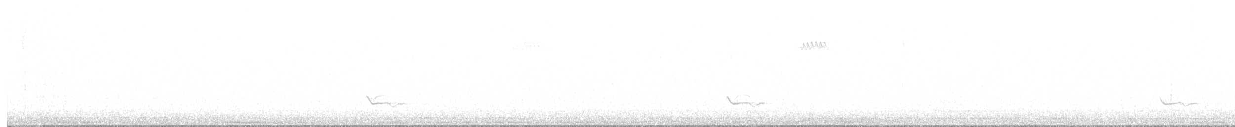 Eastern Bluebird - ML645354853