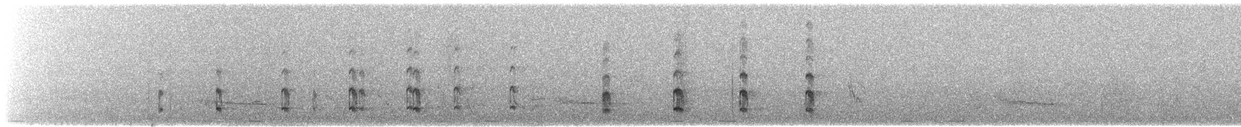 Blacksmith Lapwing - ML645354913