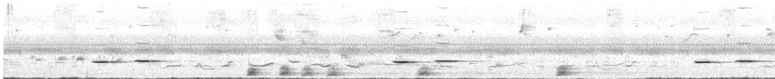 Striped Cuckoo - ML645354959