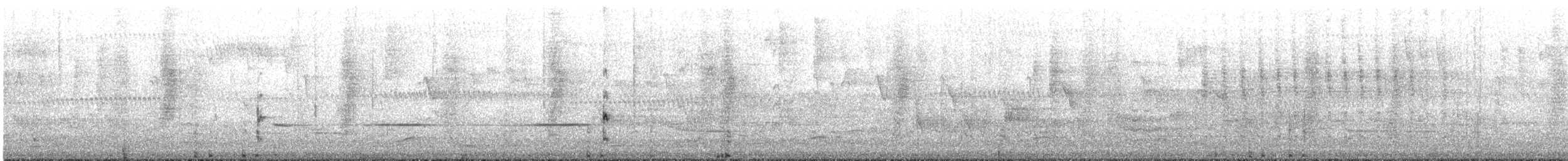 Marouette d'Australie - ML645355351