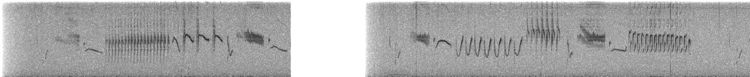 střízlík ostřicový - ML645357149