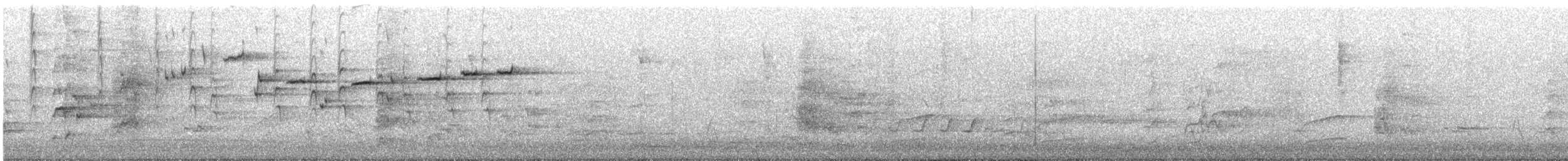 Gray Fantail (alisteri) - ML645357234