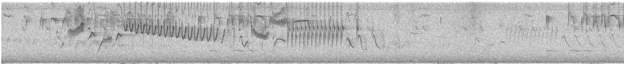 střízlík ostřicový - ML645357629